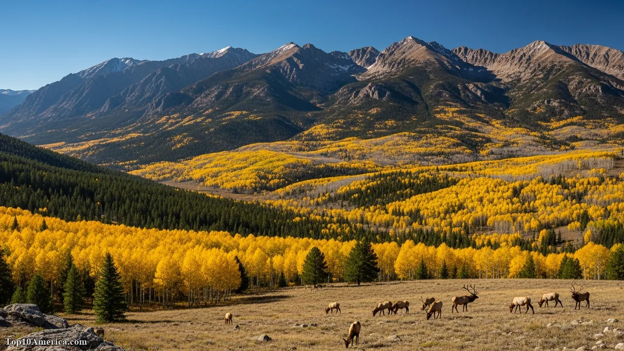 10 Best National Parks for Fall Foliage